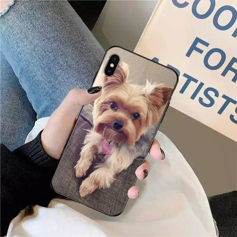 Mini Yorkshire Terrier Dog Phone Cases for iPhone 11 12 pro XS MAX 8 7 6 6S Plus X 5S SE 2020 XR mini
Mini Yorkshire Terrier Dog Phone Cases for iPhone 11 12 pro XS MAX 8 7 6 6S Plus X 5S SE 2020 XR mini