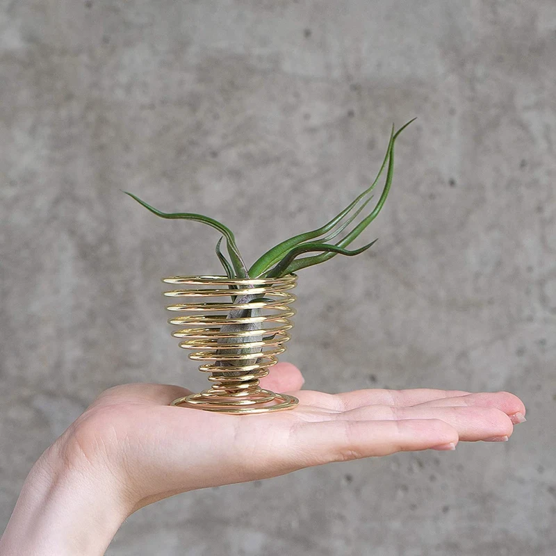 4 Pack Air Plants Holders, Air Plant Wall Hanger, Display Stand, Tabletop Container Golden (NO Plants Included)
4 Pack Air Plants Holders, Air Plant Wall Hanger, Display Stand, Tabletop Container Golden (NO Plants Included)