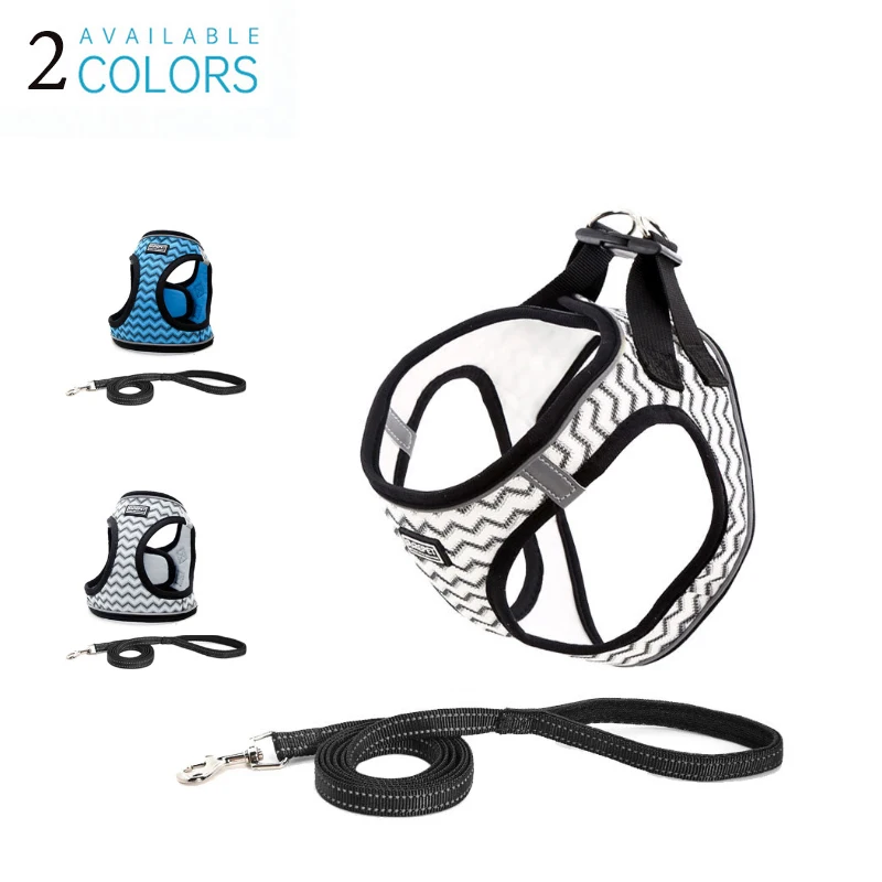 Kitten And Dog Vest And Leash Suit Dog Leash Anti-Stroke Reflective Dog Chest Back Cat Leash Para Perros
Kitten And Dog Vest And Leash Suit Dog Leash Anti-Stroke Reflective Dog Chest Back Cat Leash Para Perros