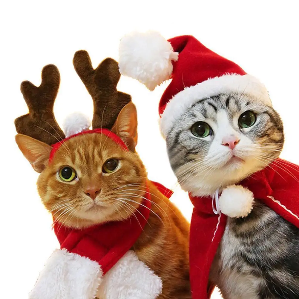 Рождественская шапка, костюм для домашних животных на Хэллоуин, костюмы для кошек, собак, щенков, шарф, подарок на Новый год, Санта, зимний ко...
Рождественская шапка, костюм для домашних животных на Хэллоуин, костюмы для кошек, собак, щенков, шарф, подарок на Новый год, Санта, зимний ко...