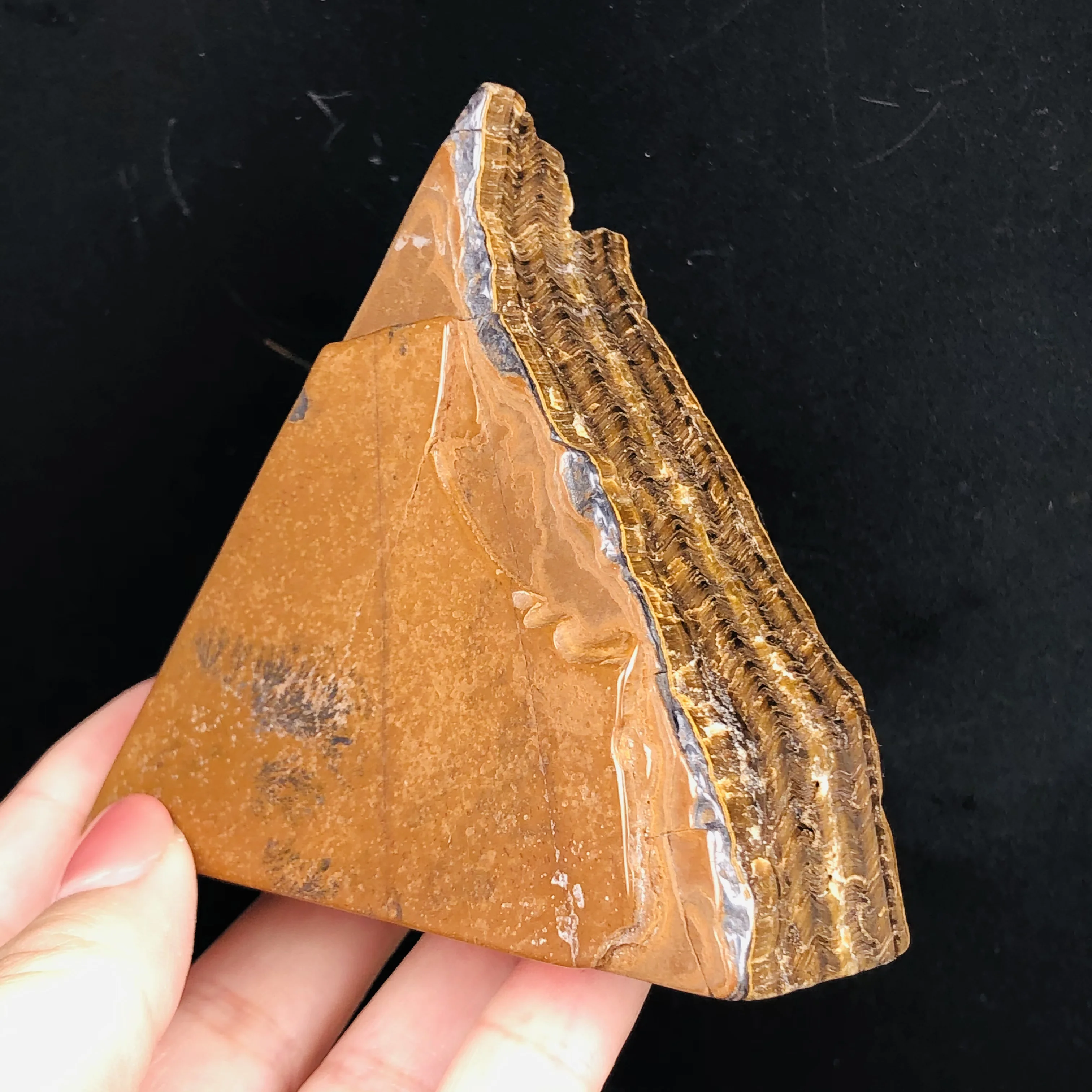 Natural Tiger Eye Crystal Rough Stones Rock Specimen Home Decor Geology Teaching
Natural Tiger Eye Crystal Rough Stones Rock Specimen Home Decor Geology Teaching