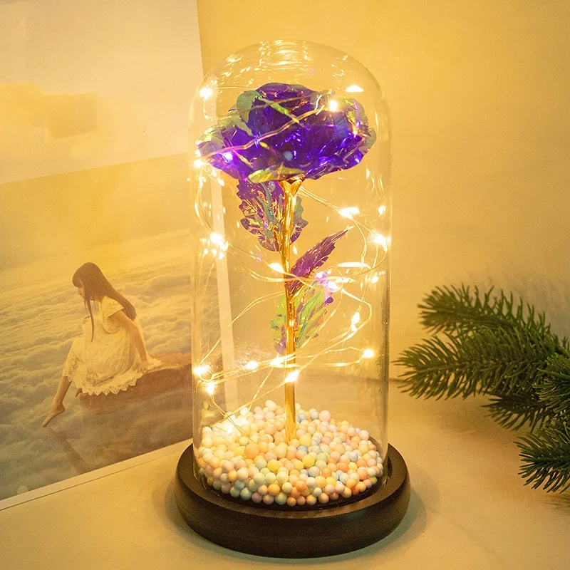 Flower with LED Light in Glass for Christmas Valentine's Day Mother's Day Gifts for Girlfriend Wife Women
Flower with LED Light in Glass for Christmas Valentine's Day Mother's Day Gifts for Girlfriend Wife Women