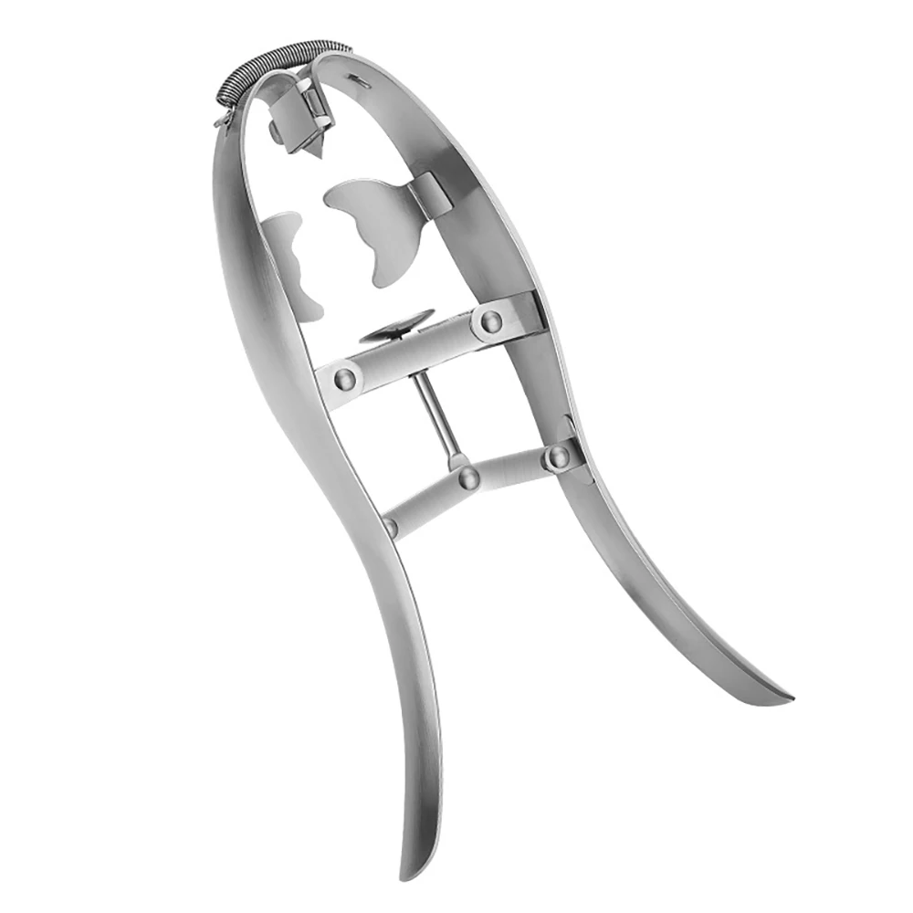 Stainless Steel Egg Shell Breaker Multifunctional Egg Opener Egg Shell Cutter Egg Scissors Kitchen Gadgets and Accessories Tools
Stainless Steel Egg Shell Breaker Multifunctional Egg Opener Egg Shell Cutter Egg Scissors Kitchen Gadgets and Accessories Tools