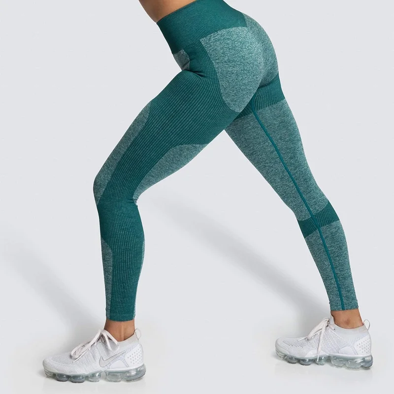 Shark Seamless Leggings Women Fitness High Waist Yoga Pants Push Up Scrunch Butt Sport Leggings Gym Tights Sports Wear
Shark Seamless Leggings Women Fitness High Waist Yoga Pants Push Up Scrunch Butt Sport Leggings Gym Tights Sports Wear