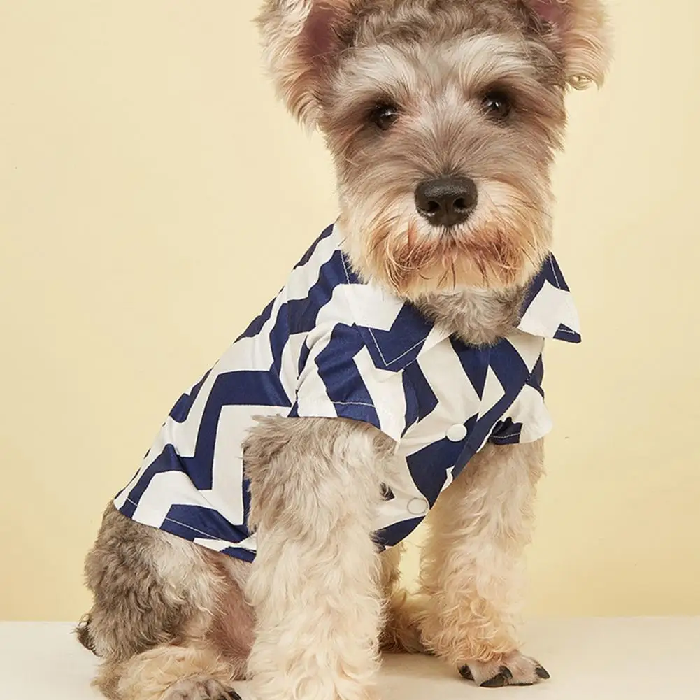 Non-allergic Novelty Pet Short Sleeves Cardigan Outfit Two-leg Pet Clothes Wavy Stripes for Summer
Non-allergic Novelty Pet Short Sleeves Cardigan Outfit Two-leg Pet Clothes Wavy Stripes for Summer