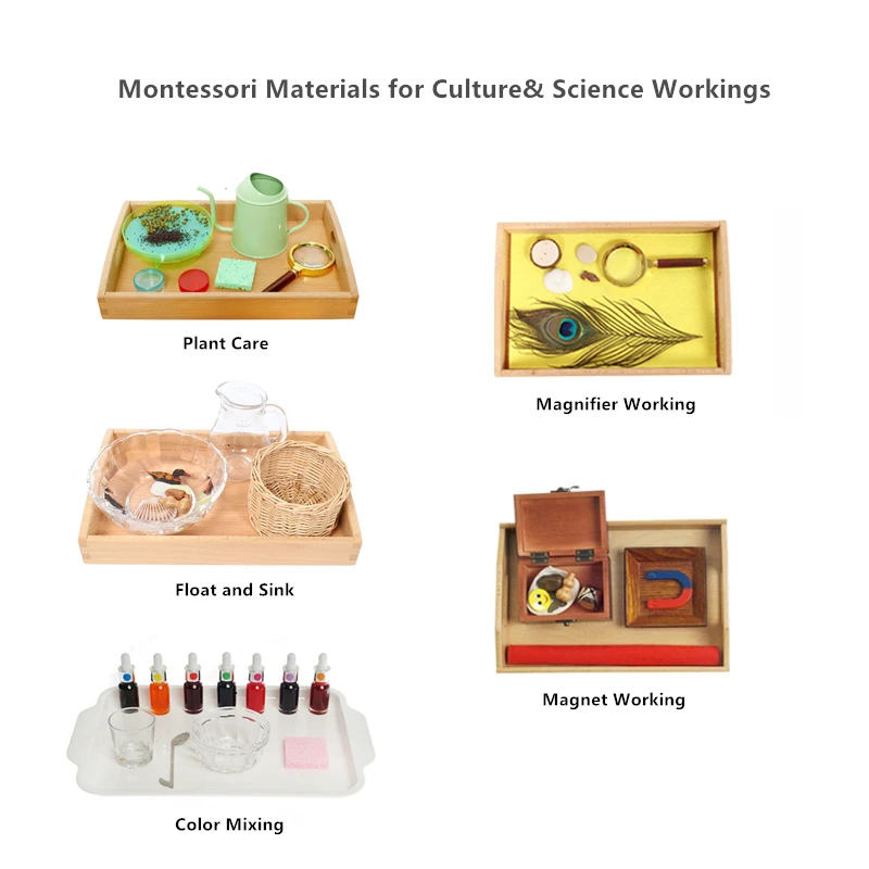 Материалы для культуры и науки Монтессори для ухода за растениями/поплавок и раковины/смешивание цветов/магнит/лупа, развивающая игрушка 
Материалы для культуры и науки Монтессори для ухода за растениями/поплавок и раковины/смешивание цветов/магнит/лупа, развивающая игрушка