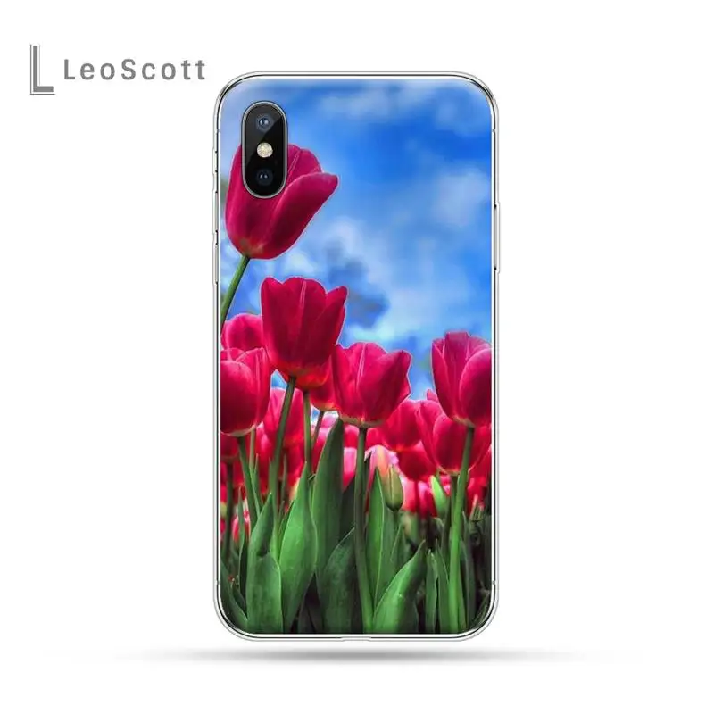 Tulips flower Spring field Phone Cases for iPhone 11 12 pro XS MAX 8 7 6 6S Plus X 5S SE 2020 XR 
Tulips flower Spring field Phone Cases for iPhone 11 12 pro XS MAX 8 7 6 6S Plus X 5S SE 2020 XR