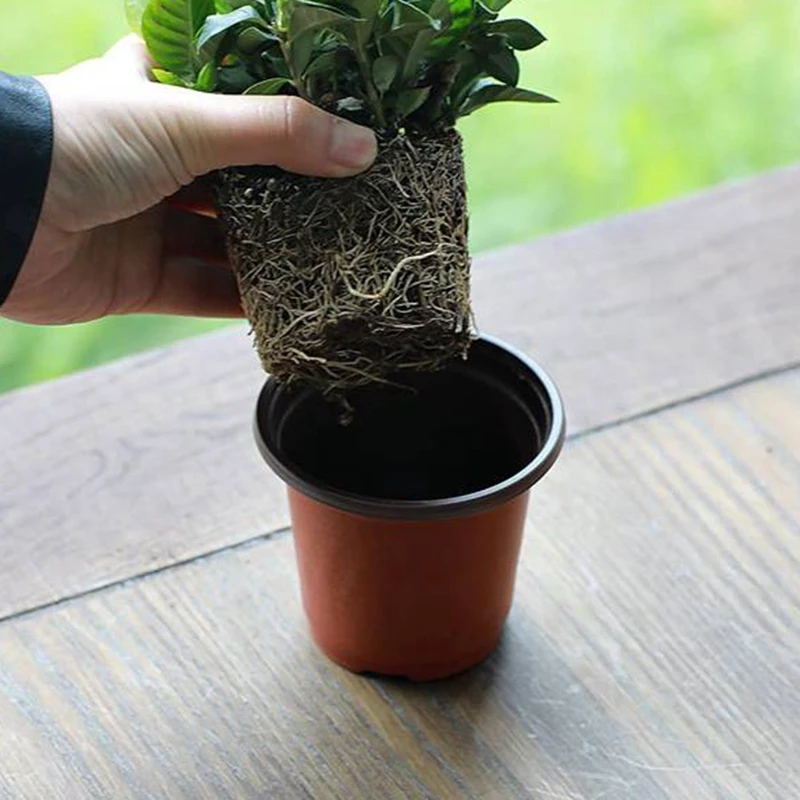 130 Pcs Plastic Plants Nursery Seed Starting Pots for Succulents Seedlings Transplanting 10cm
130 Pcs Plastic Plants Nursery Seed Starting Pots for Succulents Seedlings Transplanting 10cm