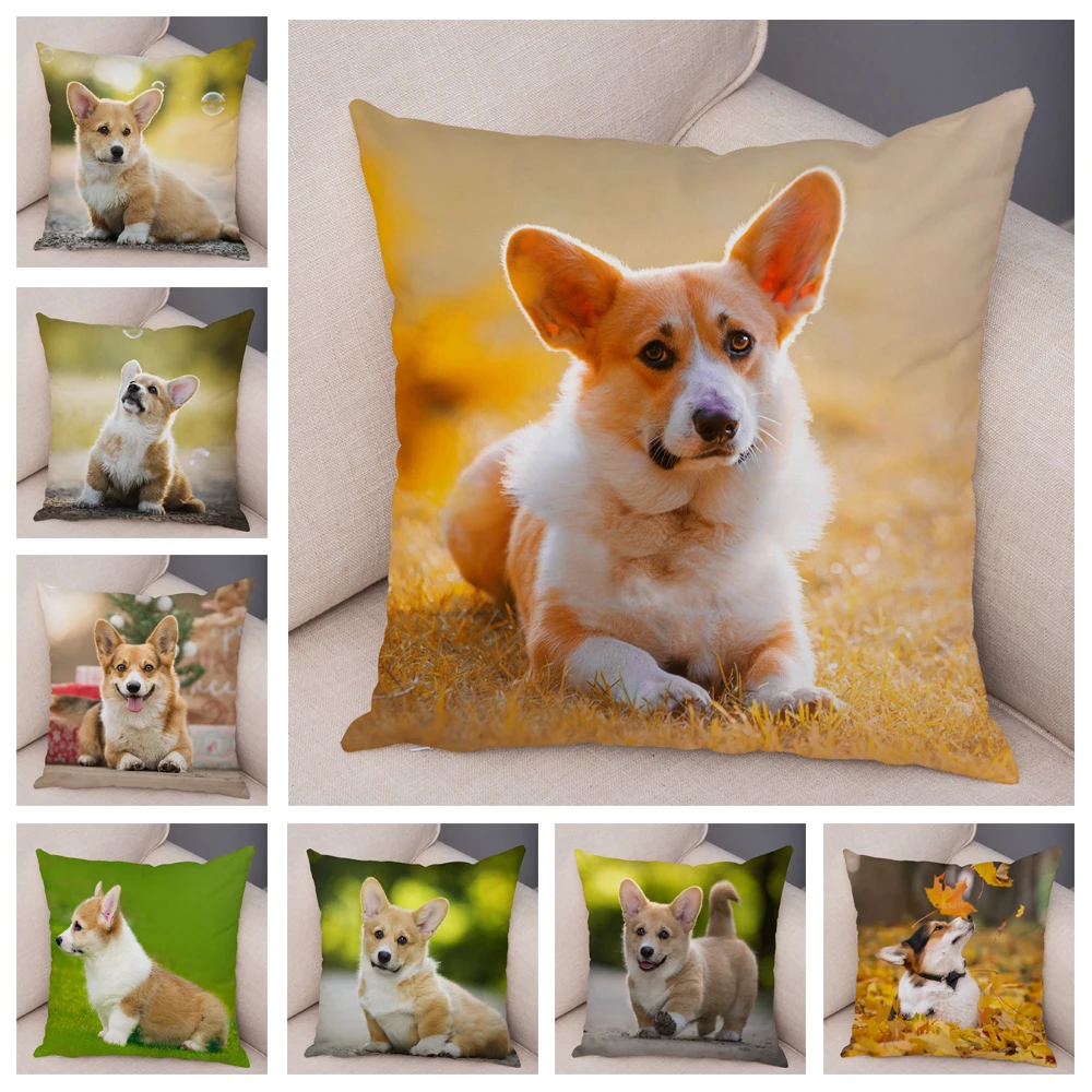 Cute Pet Animal Dog Soft Plush Pillow Case for Home Sofa Car Decor Cushion Cover Printed Shetland Sheepdog Pillowcase 45x45cm
Cute Pet Animal Dog Soft Plush Pillow Case for Home Sofa Car Decor Cushion Cover Printed Shetland Sheepdog Pillowcase 45x45cm