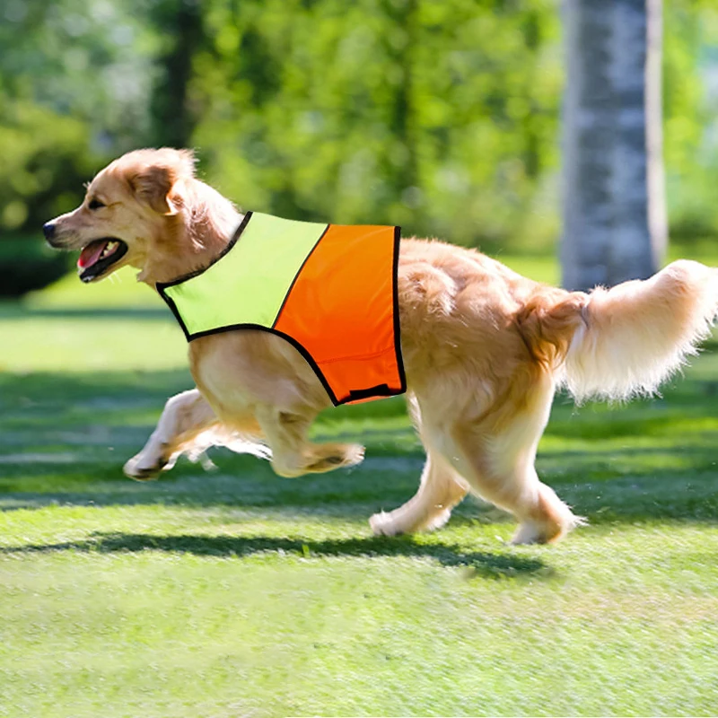 Large Dog vest Clothes Waterproof big Dog Jacket Reflective Breathable mesh Dog Raincoat For Small Medium big Dogs poncho
Large Dog vest Clothes Waterproof big Dog Jacket Reflective Breathable mesh Dog Raincoat For Small Medium big Dogs poncho