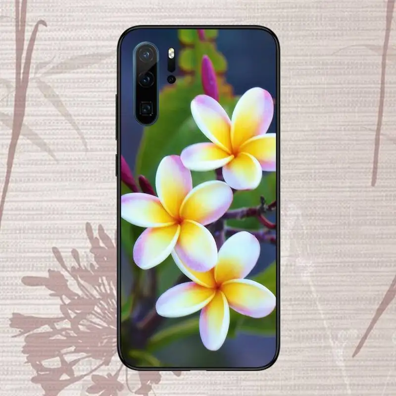 Frangipani flower Phone Case For Huawei P20 P30 P40 lite Pro P Smart 2019 Mate 10 20 Lite Pro Nova 5t
Frangipani flower Phone Case For Huawei P20 P30 P40 lite Pro P Smart 2019 Mate 10 20 Lite Pro Nova 5t