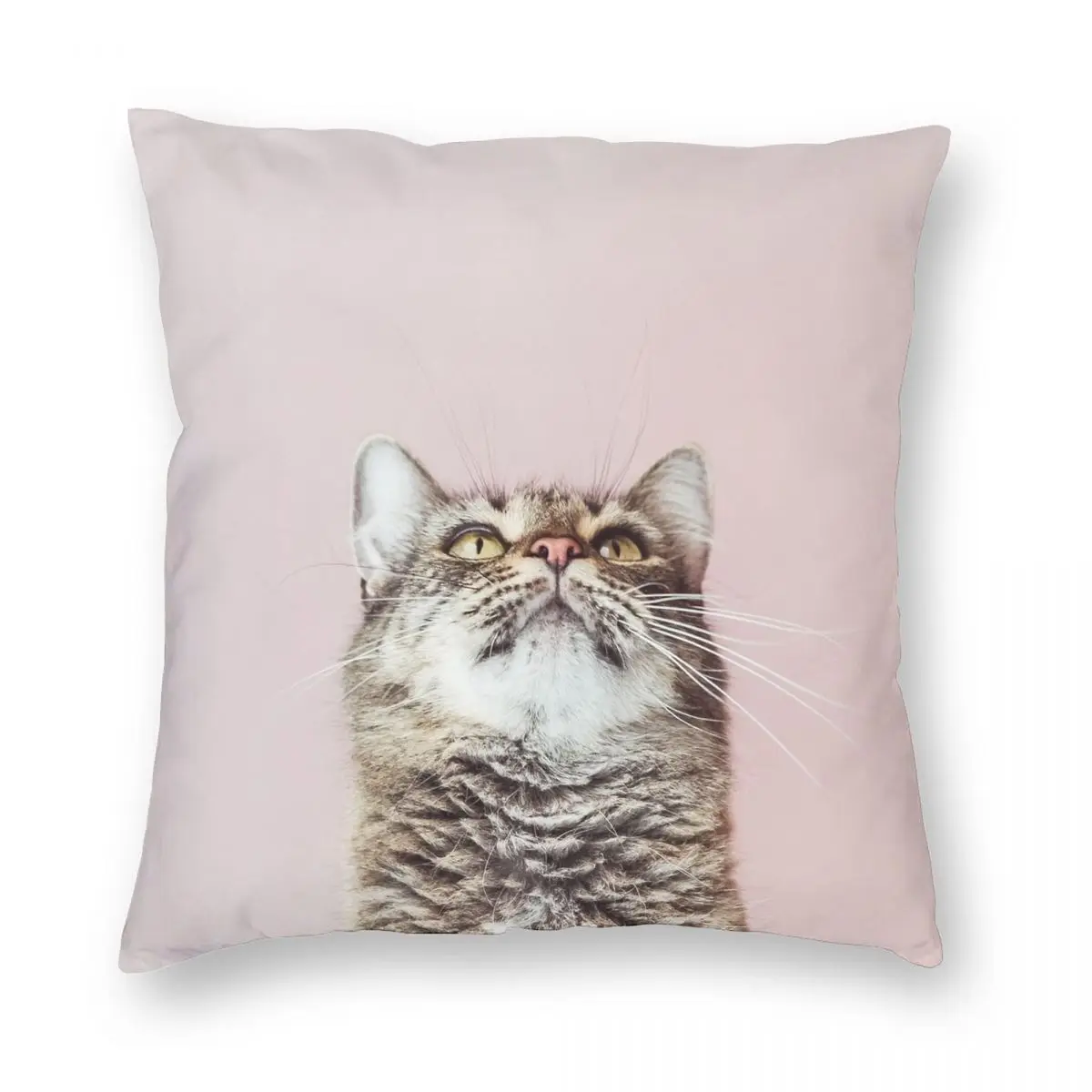 Красивый квадратный чехол для подушки с изображением кошки, полиэстеровый льняной бархатный креативный декоративный чехол для подушки на ...
Красивый квадратный чехол для подушки с изображением кошки, полиэстеровый льняной бархатный креативный декоративный чехол для подушки на ...