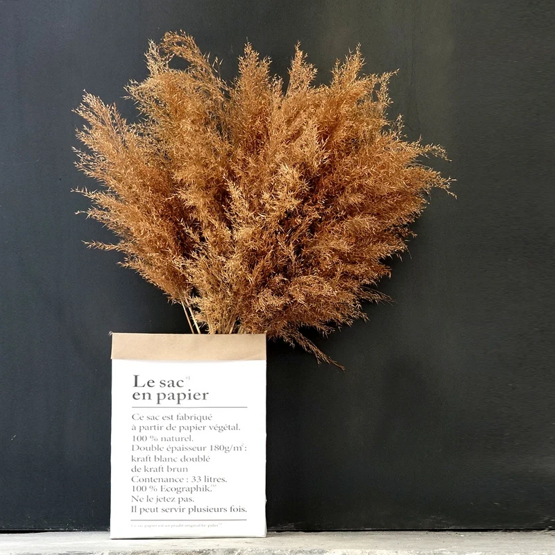 Brown Bouquet Small Reed Grass Ins Dried Flower Decoration Home Decoration Hot Selling
Brown Bouquet Small Reed Grass Ins Dried Flower Decoration Home Decoration Hot Selling