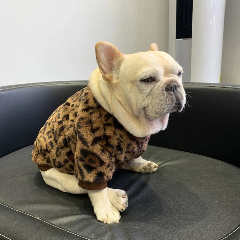 Autumn And Winter Dog Clothes Warm Leopard Print French Dou Corgi Plush Fleece Sweater Fashion Thickening Cat Pet Pajamas Jacket
Autumn And Winter Dog Clothes Warm Leopard Print French Dou Corgi Plush Fleece Sweater Fashion Thickening Cat Pet Pajamas Jacket