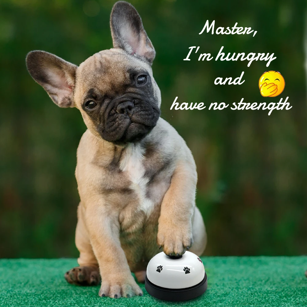 Pet Dog Training Potty Bells Toy Puppy Cat Educational Toys IQ Interactive Bell for Potty Training and Communication 5 Colors
Pet Dog Training Potty Bells Toy Puppy Cat Educational Toys IQ Interactive Bell for Potty Training and Communication 5 Colors