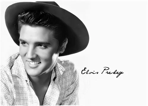 Elvis Presley Home Decoration Canvas Fabric Cloth Poster Print Stylish Retro Decor Nice Poster 27x40cm 
Elvis Presley Home Decoration Canvas Fabric Cloth Poster Print Stylish Retro Decor Nice Poster 27x40cm