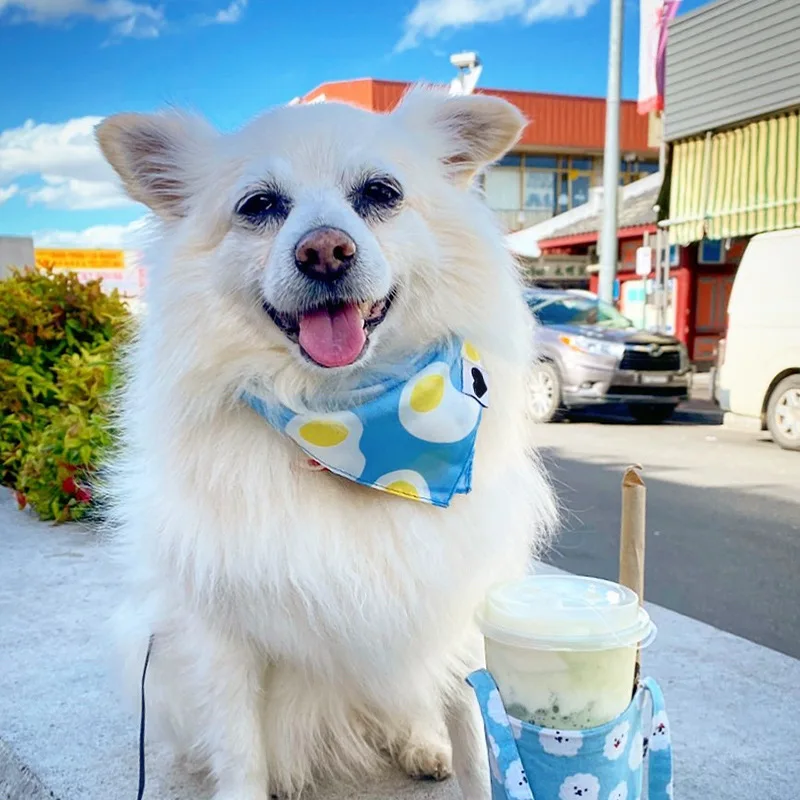 INS корейский шарф для вытирания слюней младенцев Полотенца способ борьбы с тюрбан корги квадратный шарф украшение "Собака"
INS корейский шарф для вытирания слюней младенцев Полотенца способ борьбы с тюрбан корги квадратный шарф украшение "Собака"