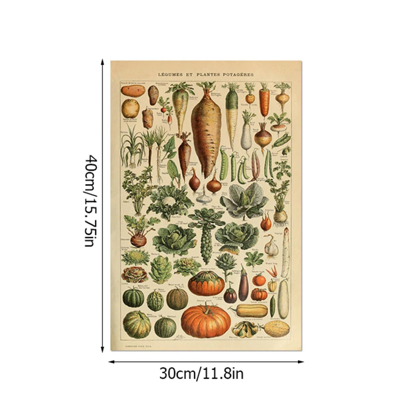 Palaeobios Plant Retro Poster Flower Animal Insect Butterfly Mushrooms Canvas Painting Wall Art Canvas Oil Painting Home Decor
Palaeobios Plant Retro Poster Flower Animal Insect Butterfly Mushrooms Canvas Painting Wall Art Canvas Oil Painting Home Decor