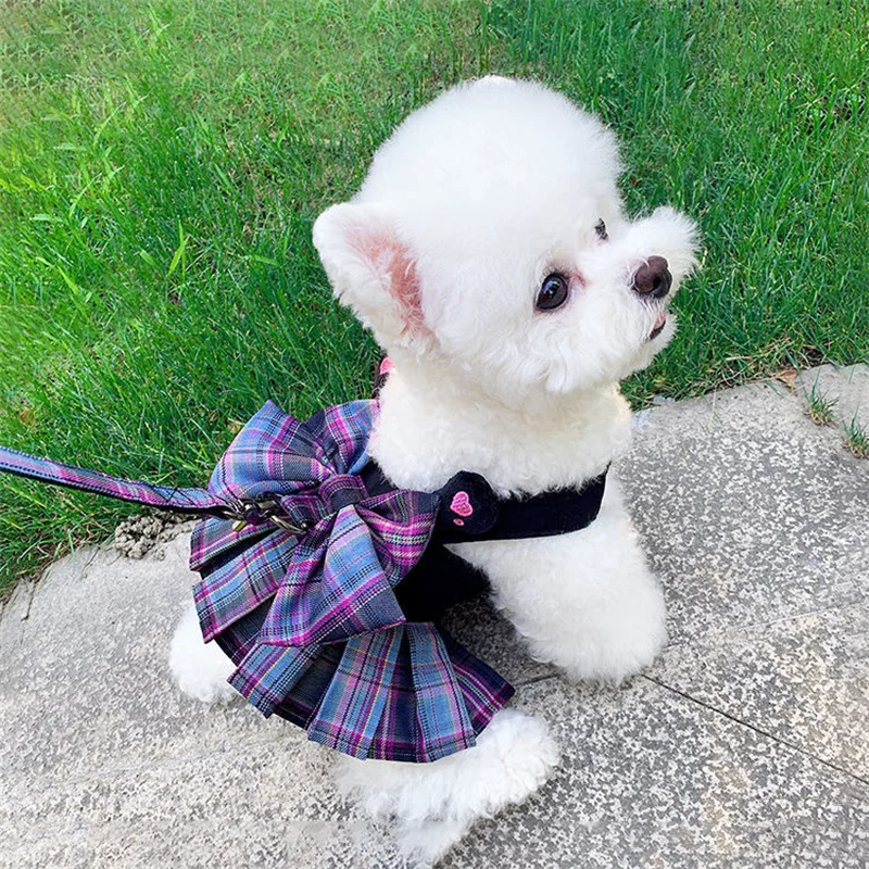 Small Dog Dress with Leash Set Puppy Cat Harness Dresses Chihuahua Yorkie Shih Tzu Poodle Schnauzer Dog Clothes Pet Supplies
Small Dog Dress with Leash Set Puppy Cat Harness Dresses Chihuahua Yorkie Shih Tzu Poodle Schnauzer Dog Clothes Pet Supplies