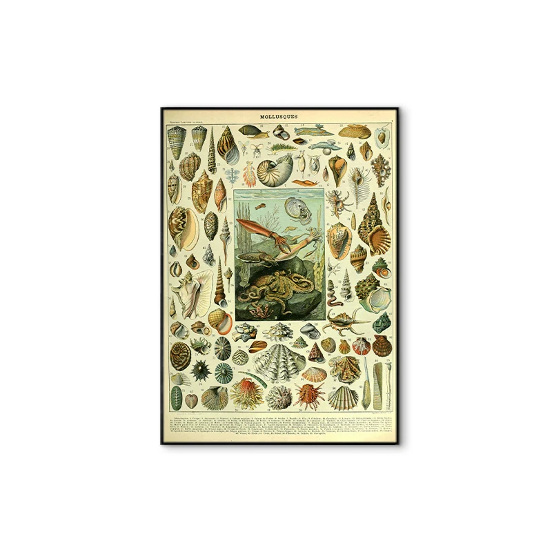 Vintage Flower Painting Canvas Poster Retro Painting Wall Art Print Botanical Picture Science Poster Bedroom Decor Wall Painting 
Vintage Flower Painting Canvas Poster Retro Painting Wall Art Print Botanical Picture Science Poster Bedroom Decor Wall Painting