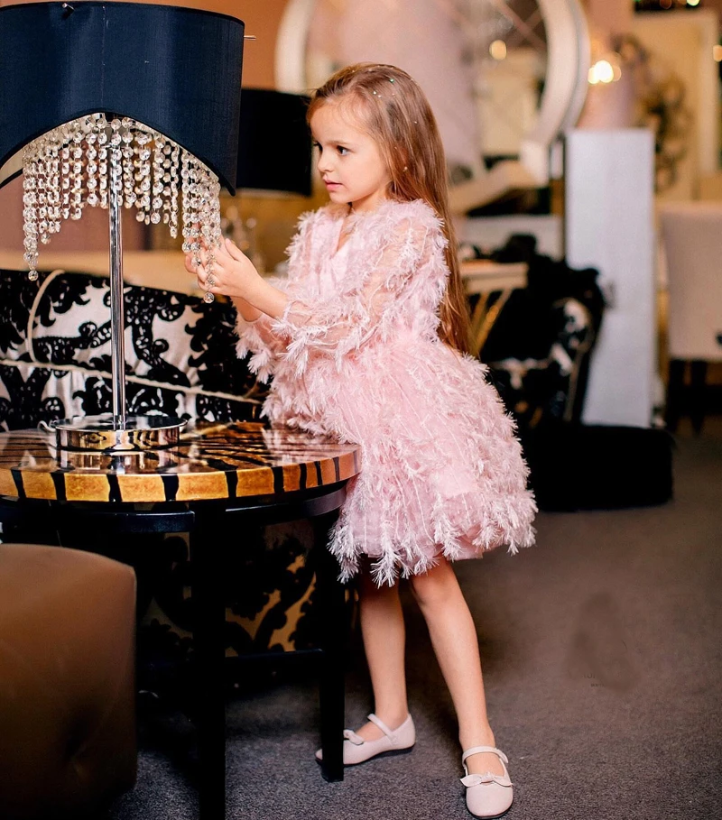 Customized Long Sleeve Girl's Dress Knee Length Flower Girl Feather Dress Baby Girl Birthday Dress Christmas Dress AG0430
Customized Long Sleeve Girl's Dress Knee Length Flower Girl Feather Dress Baby Girl Birthday Dress Christmas Dress AG0430