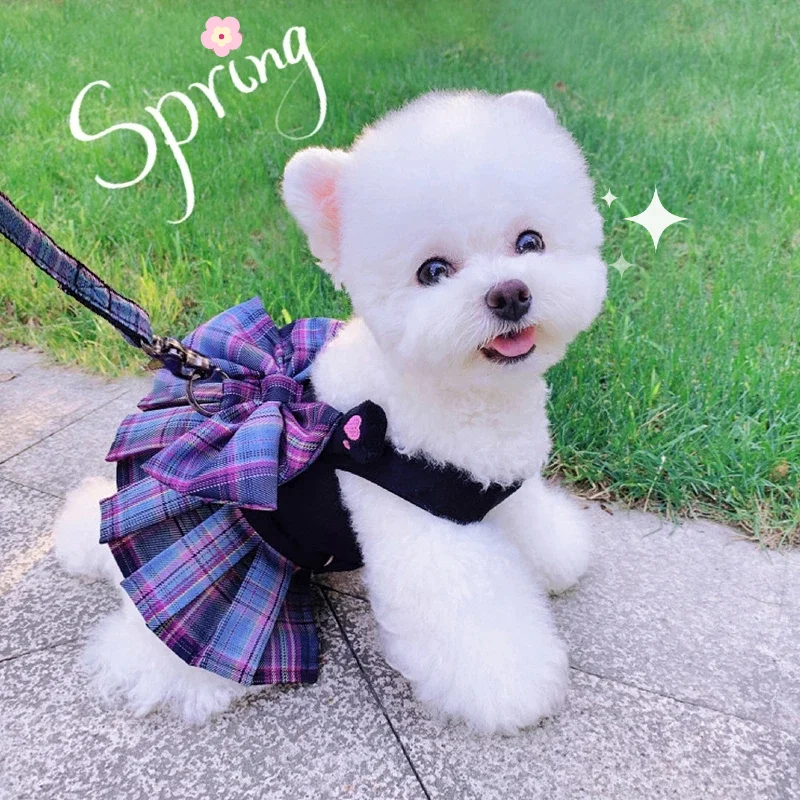 Hot Pet Dog Cat Clothes Summer Spring Dog Dress With Harness Leash Chihuahua Cute Skirt For Small Dogs Luxury Puppy Dresses
Hot Pet Dog Cat Clothes Summer Spring Dog Dress With Harness Leash Chihuahua Cute Skirt For Small Dogs Luxury Puppy Dresses