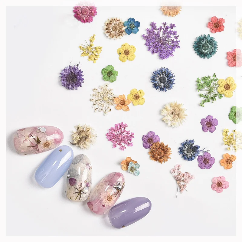 nail art dried flower decoration set natural nail true dry flower daisy/babysbreath/five petal flower series nail accessories 
nail art dried flower decoration set natural nail true dry flower daisy/babysbreath/five petal flower series nail accessories
