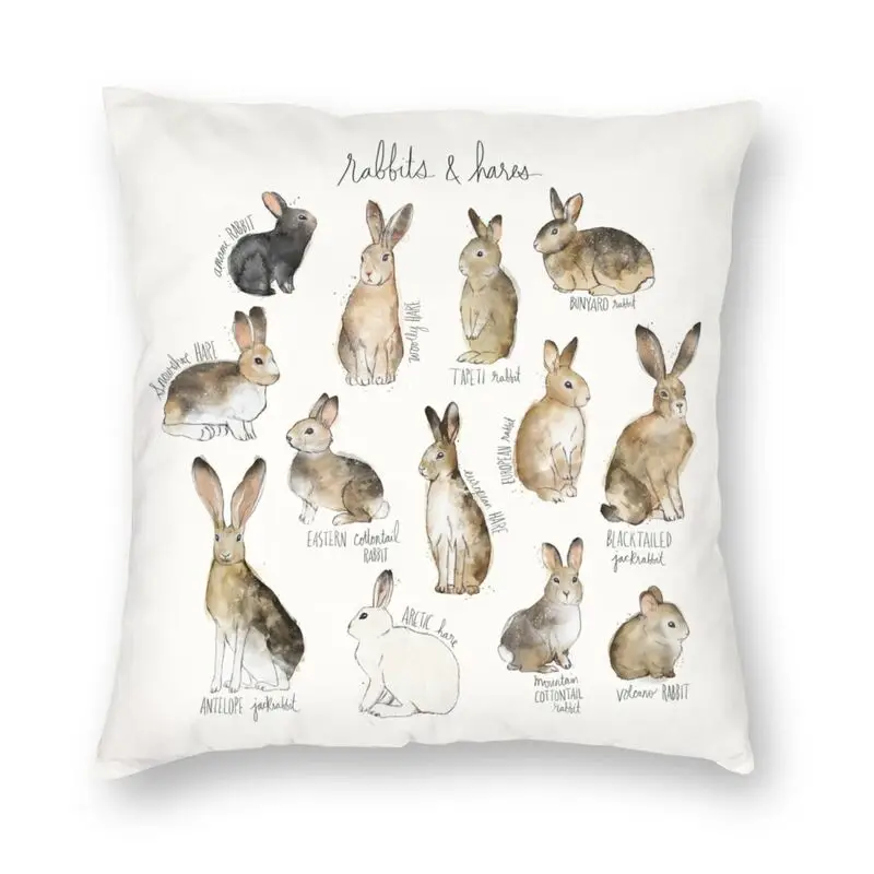 Vibrant Rabbits And Hares Pillow Case Decoration 3D Double Side Print Rabbit Pattern Cushion Cover for Car
Vibrant Rabbits And Hares Pillow Case Decoration 3D Double Side Print Rabbit Pattern Cushion Cover for Car