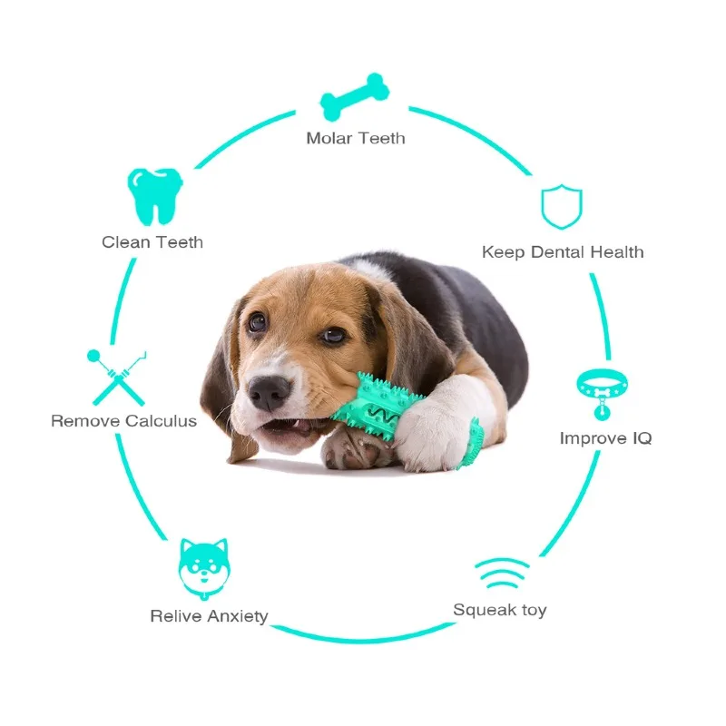 Dog Molar Toothbrush Toys Chew Cleaning Teeth Elasticity Soft Puppy Dental Care Extra-Tough Pet Cleaning Toy Supplies Dog Toys 
Dog Molar Toothbrush Toys Chew Cleaning Teeth Elasticity Soft Puppy Dental Care Extra-Tough Pet Cleaning Toy Supplies Dog Toys
