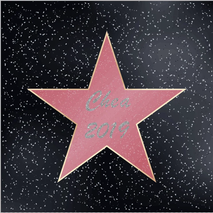 8x8FT Dark Silver Peach Hollywood Party Stars Custom Photo Studio Background Backdrop Vinyl 240cm x 240cm
8x8FT Dark Silver Peach Hollywood Party Stars Custom Photo Studio Background Backdrop Vinyl 240cm x 240cm
