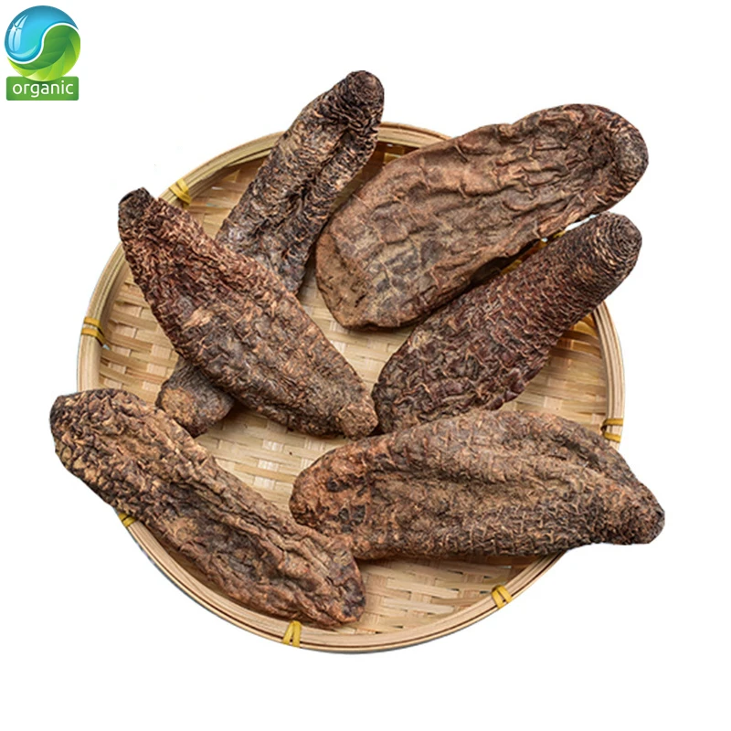 HERBA CISTANCHES(Cistanche)Rou Cong Rong тонизирующие продукты травяная медицина травяная цистанхе порошок
HERBA CISTANCHES(Cistanche)Rou Cong Rong тонизирующие продукты травяная медицина травяная цистанхе порошок