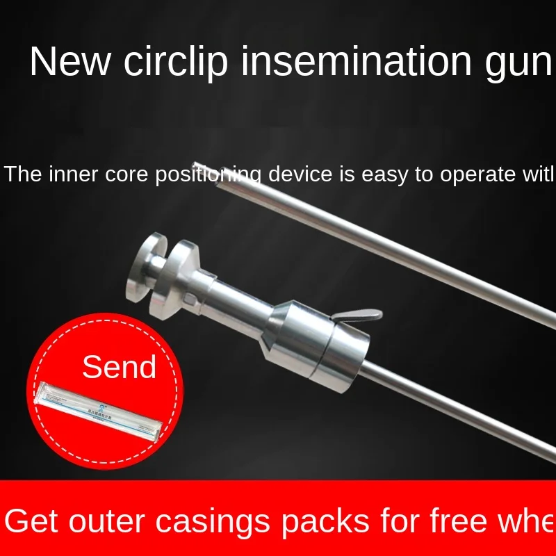 Cows are artificially inseminated with a circlip insemination gun. The breeder breeds semen and injects cattle products
Cows are artificially inseminated with a circlip insemination gun. The breeder breeds semen and injects cattle products