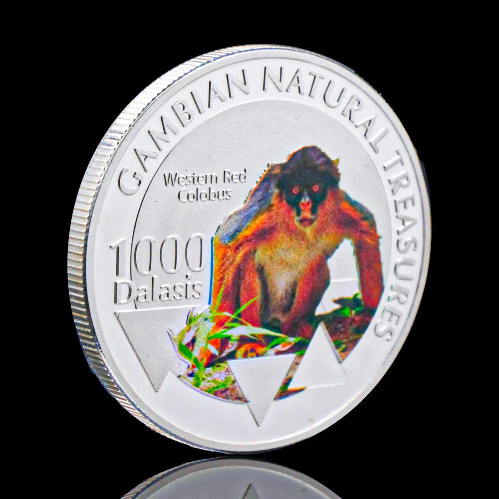Silver Plated Gambian Natural Treasumres Westem Red Colobus Monkey Medal Souvenirs Coin Animal Collectible Coins Gift
Silver Plated Gambian Natural Treasumres Westem Red Colobus Monkey Medal Souvenirs Coin Animal Collectible Coins Gift