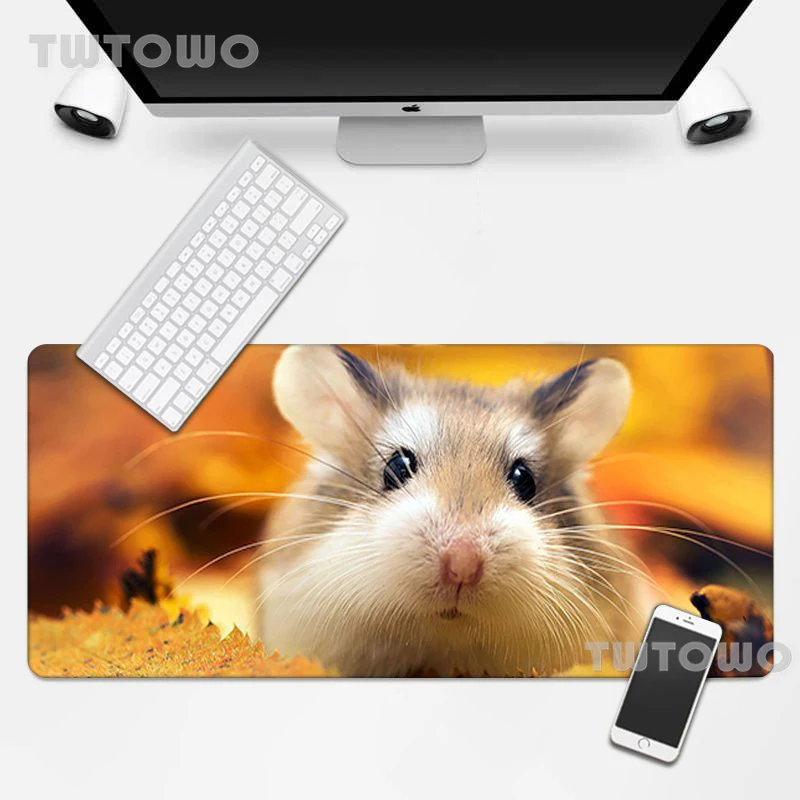 Custom Skin Hamster Computer Hot Sell Mouse Pad Art Anti-slip Cartoon Gamer Anime Carpet Office Decoration Desk Mat
Custom Skin Hamster Computer Hot Sell Mouse Pad Art Anti-slip Cartoon Gamer Anime Carpet Office Decoration Desk Mat