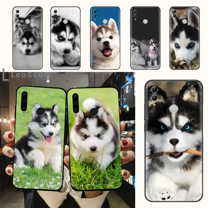 Husky Cute and funny animals Phone Case For Huawei honor Mate 10 20 30 40 i 9 8 pro x Lite P smart 2019 nova 5t
Husky Cute and funny animals Phone Case For Huawei honor Mate 10 20 30 40 i 9 8 pro x Lite P smart 2019 nova 5t