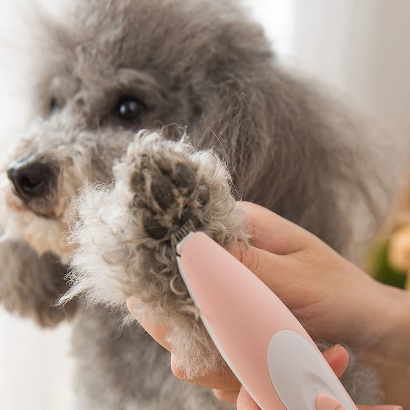 Dog Grooming Clippers Cordless Usb Rechargeable Small Pet Hair Trimmer Low Noise For Trimming Hair Around Paws Eyes Ears He
Dog Grooming Clippers Cordless Usb Rechargeable Small Pet Hair Trimmer Low Noise For Trimming Hair Around Paws Eyes Ears He