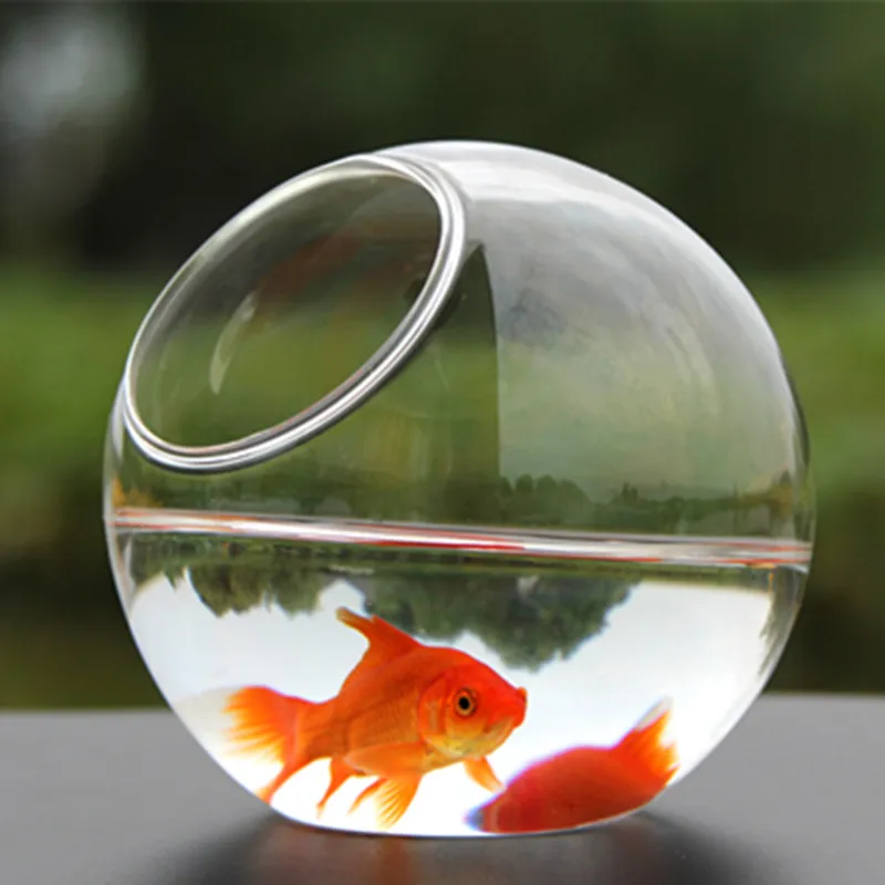 8pcs/pack Diameter=20cm Big Size Side Open Glass Ball Terrarium Creative Landscape Container Fashion Home Decorative Vase
8pcs/pack Diameter=20cm Big Size Side Open Glass Ball Terrarium Creative Landscape Container Fashion Home Decorative Vase