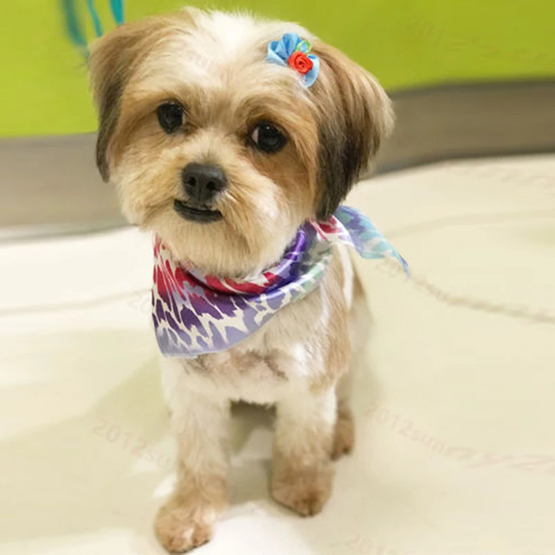 100Pcs Small Dogs Bows Hair For Pets Accessories Supplies Clips Yorkshire Grooming Bows Accessoire Pour Chien Petite Taille
100Pcs Small Dogs Bows Hair For Pets Accessories Supplies Clips Yorkshire Grooming Bows Accessoire Pour Chien Petite Taille