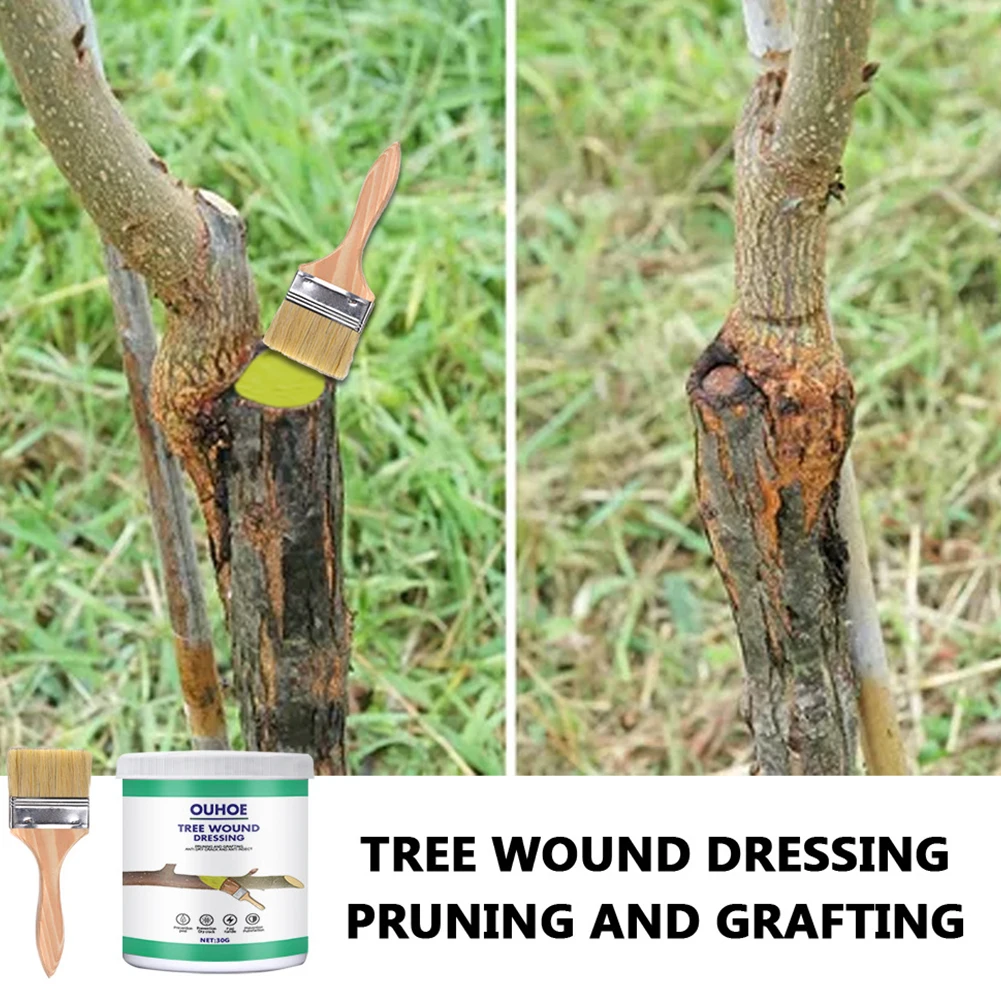 Tree Wound Sealer 30g Tree Wound Pruning Sealer with Brush Bonsai Modeling Branch Pruning Wound Quick Recovery
Tree Wound Sealer 30g Tree Wound Pruning Sealer with Brush Bonsai Modeling Branch Pruning Wound Quick Recovery