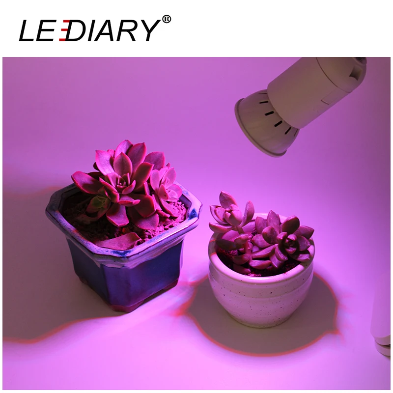 LEDIARY 2PCS/Lot Spotlight LED Plant Growth Bulb 220V MR16 E27 Cup Shape Lamp Full Spectrum For Home Help Potted Plant Growth
LEDIARY 2PCS/Lot Spotlight LED Plant Growth Bulb 220V MR16 E27 Cup Shape Lamp Full Spectrum For Home Help Potted Plant Growth