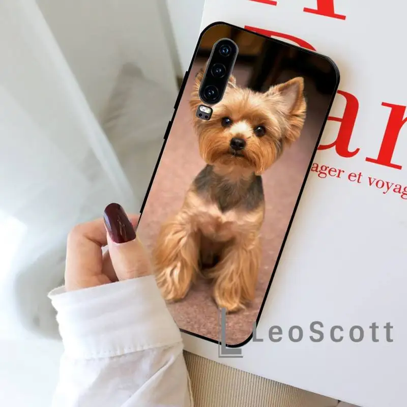 Yorkshire terrier dog Phone Case For Huawei honor Mate P 9 10 20 30 40 Pro 10i 7 8 a x Lite nova 5t
Yorkshire terrier dog Phone Case For Huawei honor Mate P 9 10 20 30 40 Pro 10i 7 8 a x Lite nova 5t