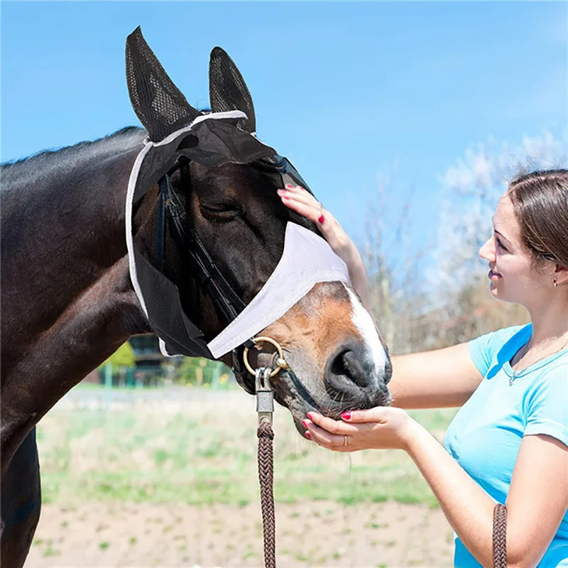 Horse mask Eye Mask Stretch breathable anti-mosquito and insect mask equestrian training breeding supplies Large pet hat
Horse mask Eye Mask Stretch breathable anti-mosquito and insect mask equestrian training breeding supplies Large pet hat