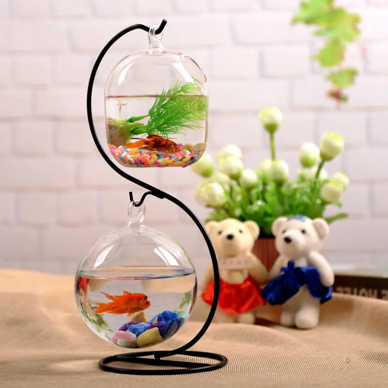 Desktop aquarium bucket hanging small transparent mini iron frame glass creative ecological
Desktop aquarium bucket hanging small transparent mini iron frame glass creative ecological