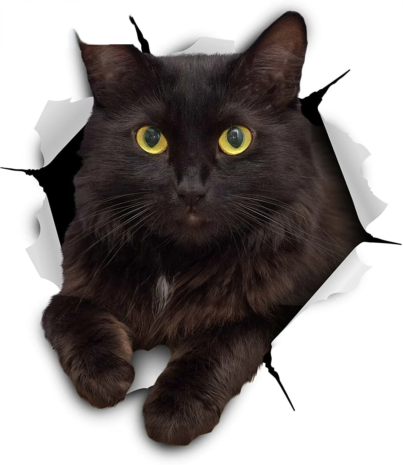 Car Stickers Decor Motorcycle Decals Black Cat Decorative Accessories Creative Sunscreen Waterproof KK14*13cm
Car Stickers Decor Motorcycle Decals Black Cat Decorative Accessories Creative Sunscreen Waterproof KK14*13cm