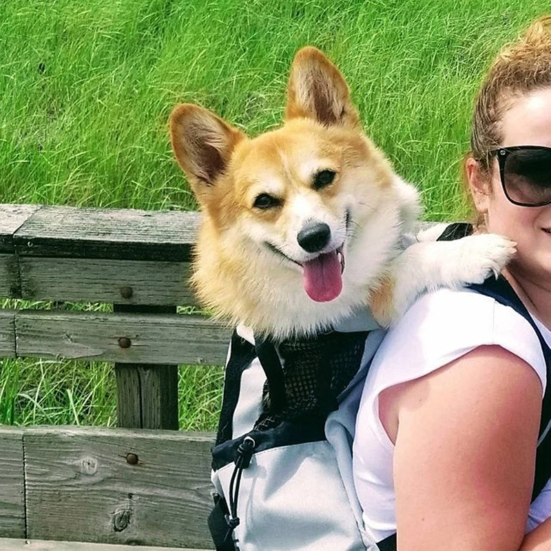 Pet Backpack Breathable Pet Dog Carrier Bag for Large Dogs Bulldog Backpack Adjustable Travel Bags
Pet Backpack Breathable Pet Dog Carrier Bag for Large Dogs Bulldog Backpack Adjustable Travel Bags
