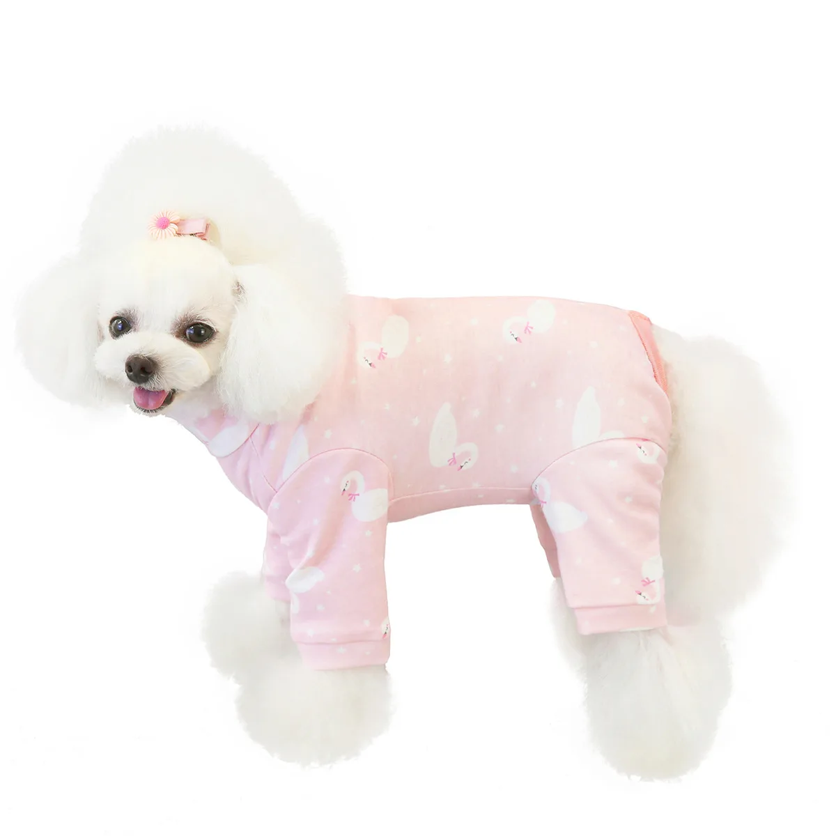 Warm Pet Clothing for Dog Clothes For Small Dog Coat Jacket Puppy Outfit Pet Clothes For Dogs Costume Apparel Chihuahua
Warm Pet Clothing for Dog Clothes For Small Dog Coat Jacket Puppy Outfit Pet Clothes For Dogs Costume Apparel Chihuahua