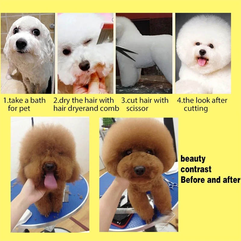 5pcs Stainless Steel Pet Dogs Grooming Scissors Cat Hair Thinning Shear Sharp Edge Scissors For Dogs Animal Barber Cutting Tool
5pcs Stainless Steel Pet Dogs Grooming Scissors Cat Hair Thinning Shear Sharp Edge Scissors For Dogs Animal Barber Cutting Tool
