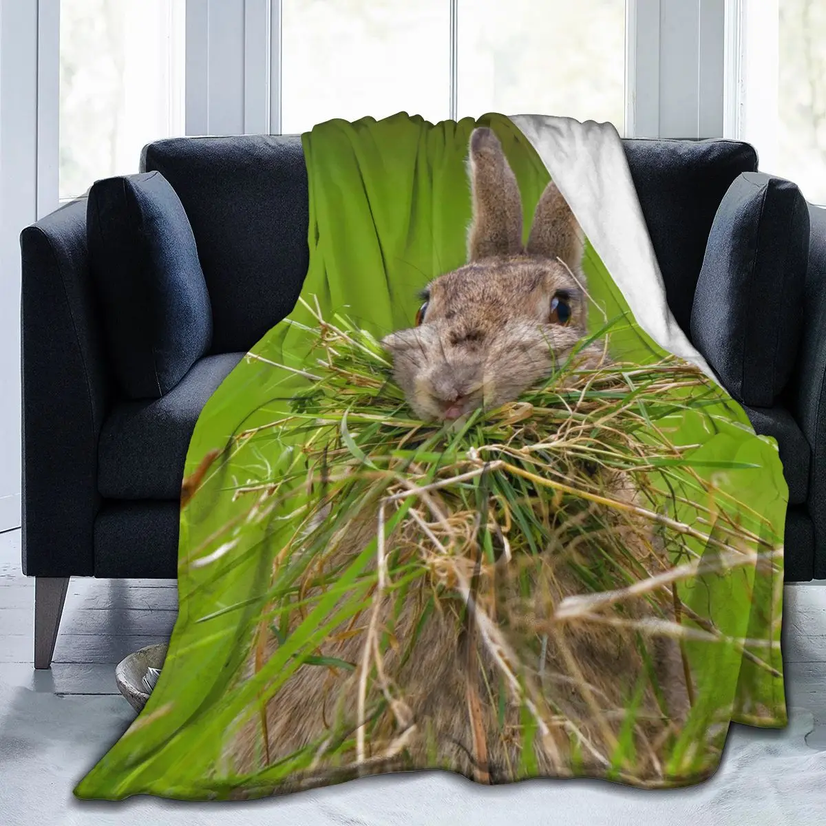 Ultra Soft Micro Fleece Blanket Throw Fuzzy Lightweight Hypoallergenic Plush for Kids Fashion Print Blanket
Ultra Soft Micro Fleece Blanket Throw Fuzzy Lightweight Hypoallergenic Plush for Kids Fashion Print Blanket