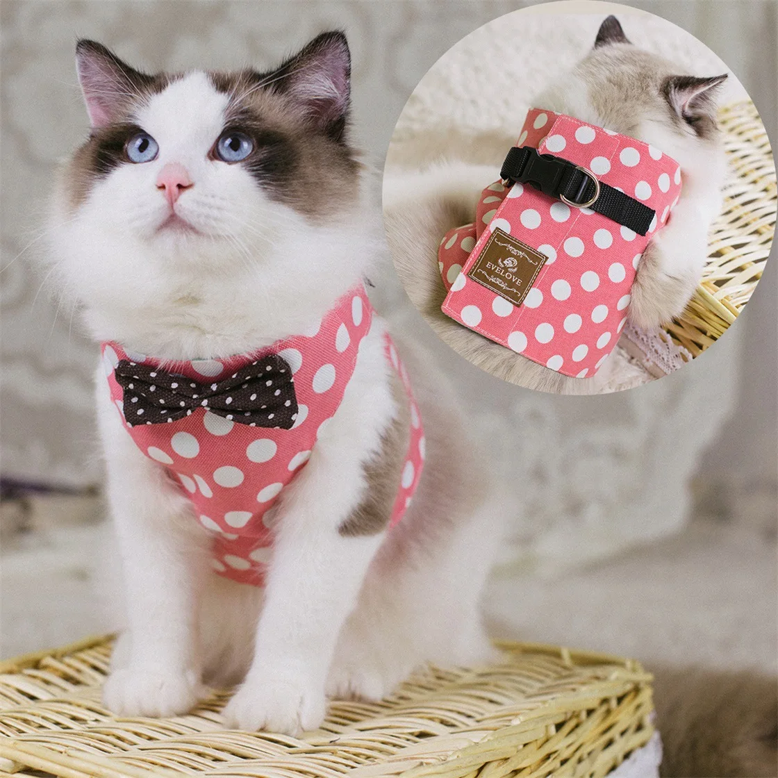 Cat Cute Cartoon Harness Breathable With Bowknot For Kitten Anti-Breakaway Cat Collar Cute Bow Vests Outdoor Cat Accessories
Cat Cute Cartoon Harness Breathable With Bowknot For Kitten Anti-Breakaway Cat Collar Cute Bow Vests Outdoor Cat Accessories