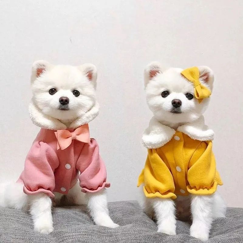 Winter Warm Pet Dog Clothes Cotton Coat for Dog Cat Clothing for Small Medium Dogs Costume Hoodies French Bulldog Yorkie Clothes
Winter Warm Pet Dog Clothes Cotton Coat for Dog Cat Clothing for Small Medium Dogs Costume Hoodies French Bulldog Yorkie Clothes